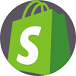 shopify website development